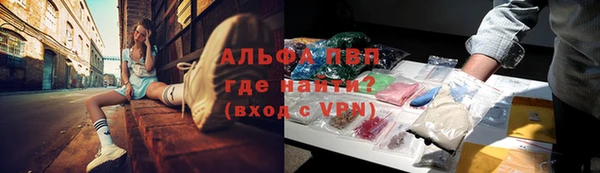 эйфоретик Гусев