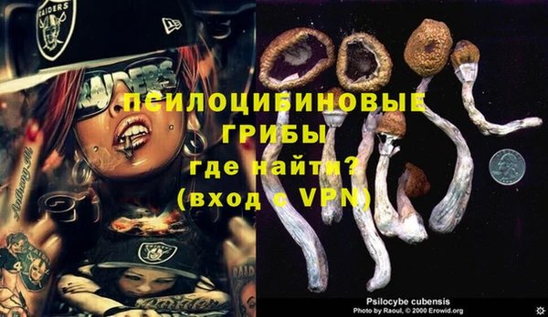 круглые Гусь-Хрустальный