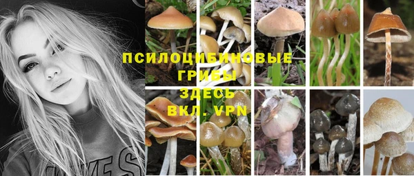 эйфоретик Гусев
