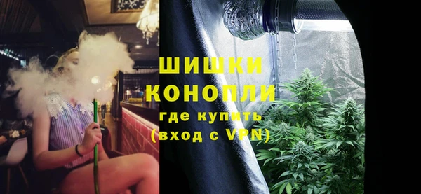 эйфоретик Гусев