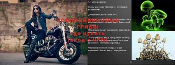 круглые Гусь-Хрустальный