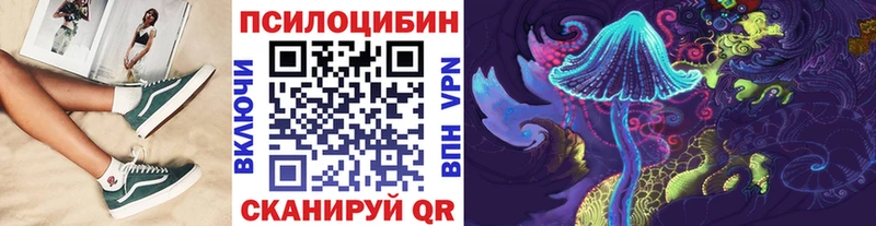 Псилоцибиновые грибы мицелий  Каргат 